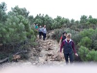 2018-11-12 14.43.30 (Grand)